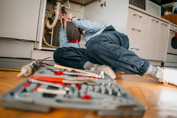 Best Plumbing Inspection Services  in Tamaqua, PA